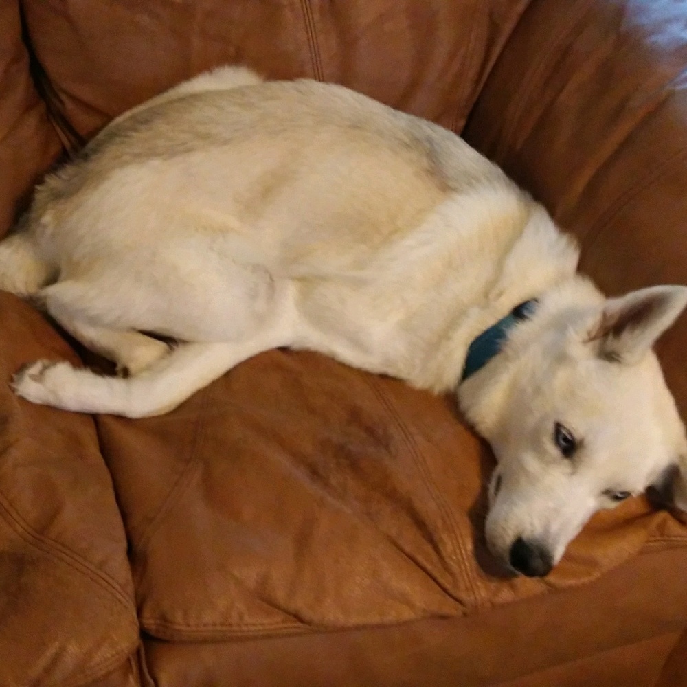 Meet your Posher, Brooke